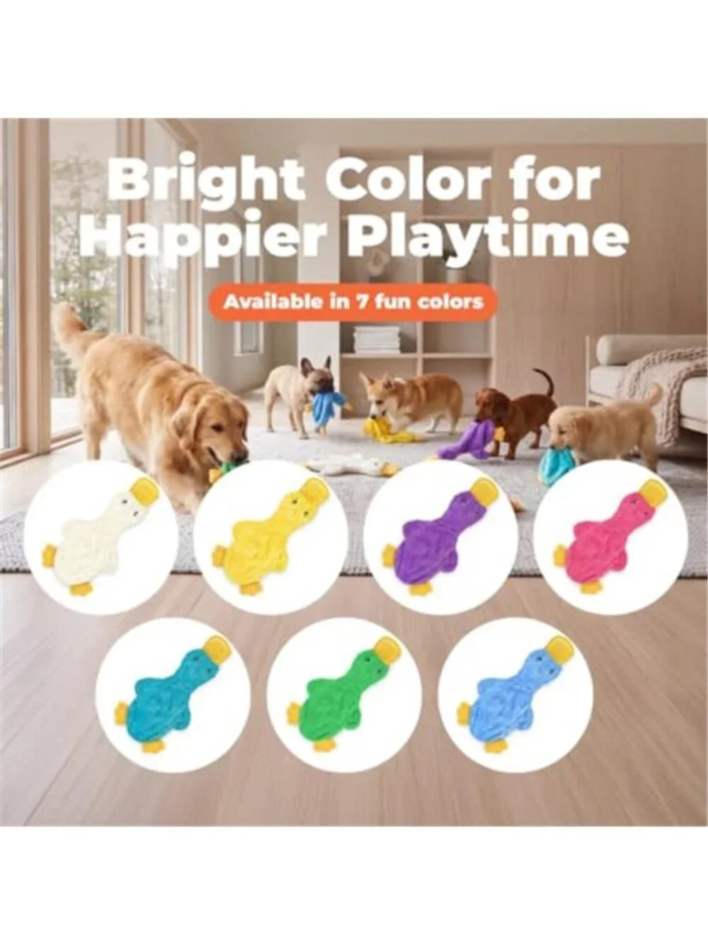 Squeaky Dog Chew Toy, Ideal Dog Toys for Chewers
